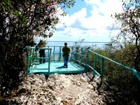 Ballenato del medio: la islita de iguanas