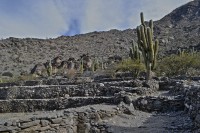 Ruinas de Quilmes. Tucumn