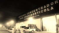 Mercado Concentrador Jose C Paz