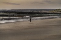 las solitarias playas del sur...