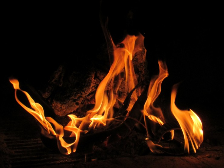 Foto 1/Caprichos del fuego