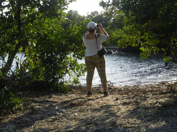 Foto 1/En Playa Bonita: Retornan los manglares costeros