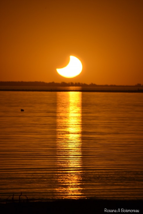 Foto 4/Eclipse parcial Solar