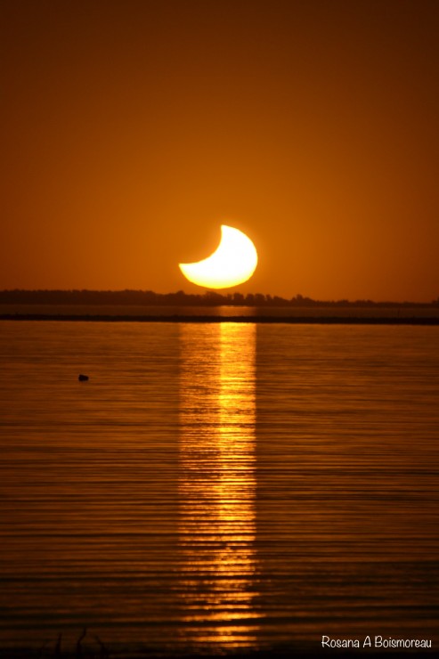 Foto 5/Eclipse parcial Solar