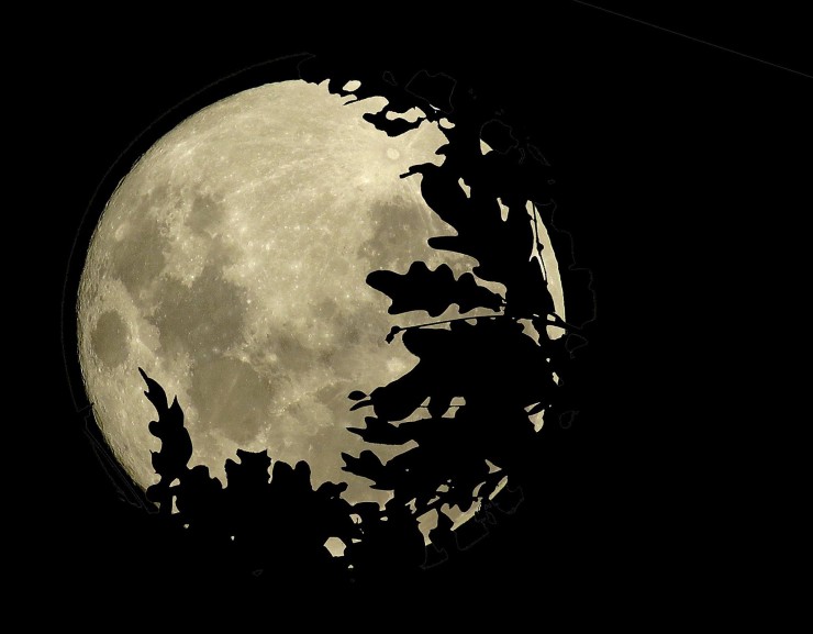 Foto 1/Fascinacin por la Luna