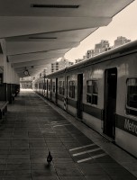Un viaje en tren