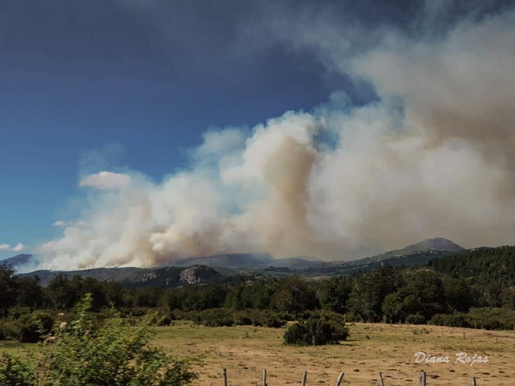 Foto 3/Incendio en Parque Nacional Los Alerces