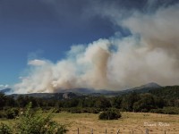 Incendio en Parque Nacional Los Alerces