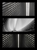 El culus de Calatrava en NYC
