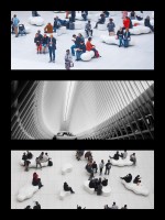El culus de Calatrava en NYC