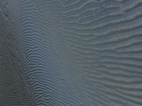 Texturas en la playa