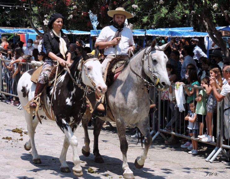 Foto 4/Mujeres de a caballo