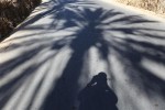 mi sombra