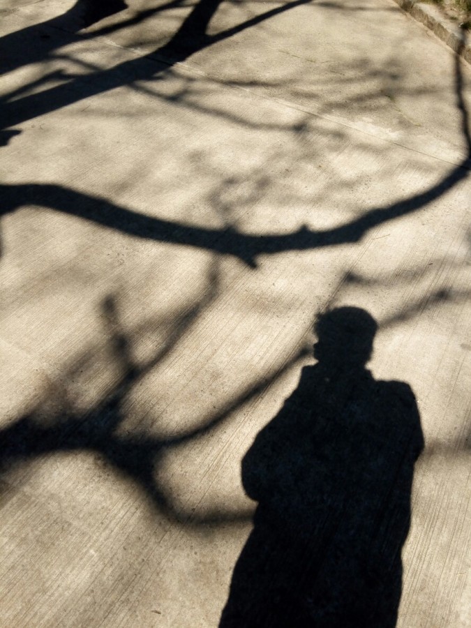 "Una sombra ya pronto sers" de Adrin Camino