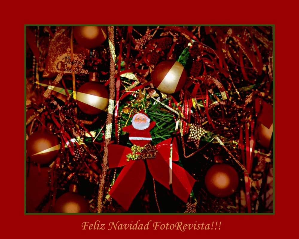 "Navidad 2012!!!" de Liliana Rech