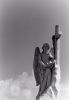 `Angel Guardin`