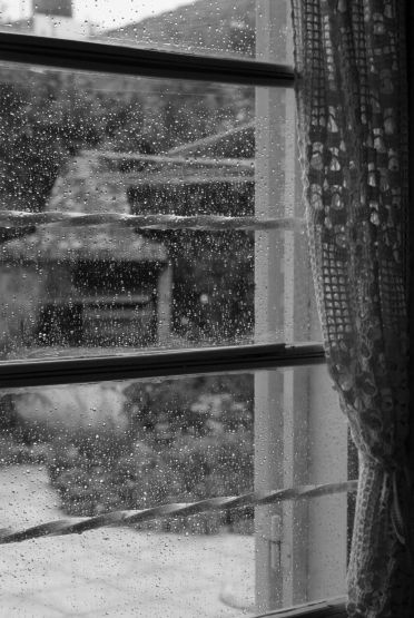 "La lluvia  en mi patio" de Carmen Nievas
