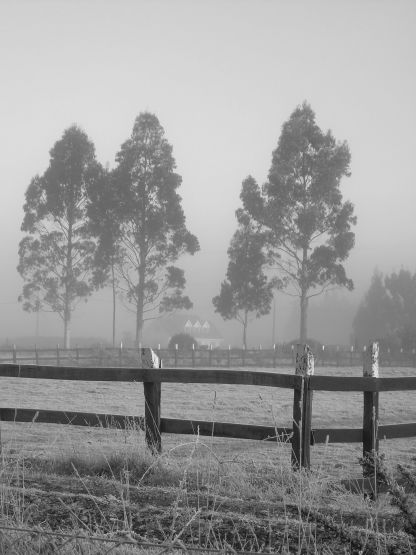 "neblina" de Oscar Ferrando