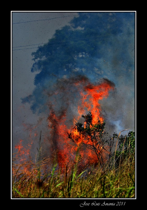 FotoRevista / Convocatoria Mensual / Fuego