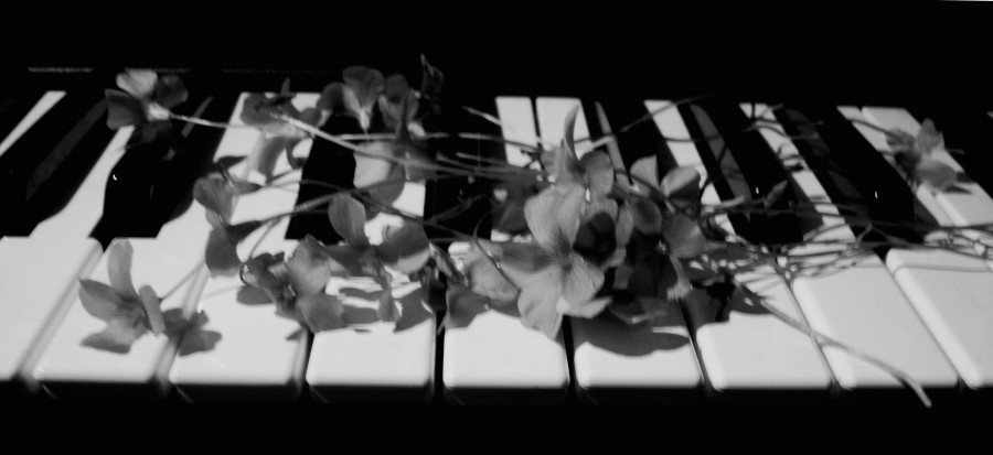 "solo el piano y las flores , sin msica...." de Beatriz Di Marzio