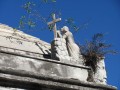 Cementerio de la Recoleta. Detalle