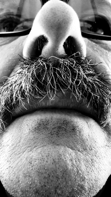 "Mis bigotes y yo" de Roberto Jorge Escudero