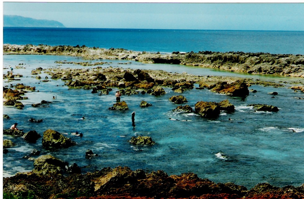 FotoRevista / Convocatoria / mar pacfico-arrecifes playa en hawai de Beatriz Di Marzio