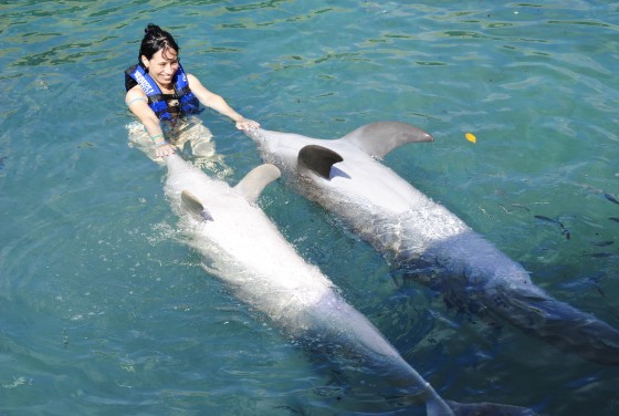 FotoRevista / Convocatoria / Jugando con Delfines en el agua de Gabriela Fusca