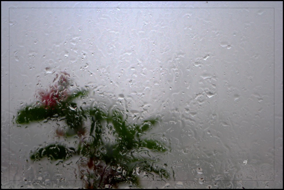 FotoRevista / Convocatoria / lluvia en la ventana I de Ana Jannelli