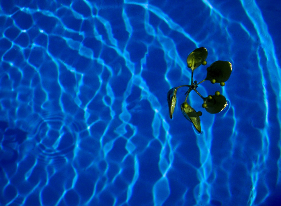 FotoRevista / Convocatoria / En la piscina de Tesi Salado