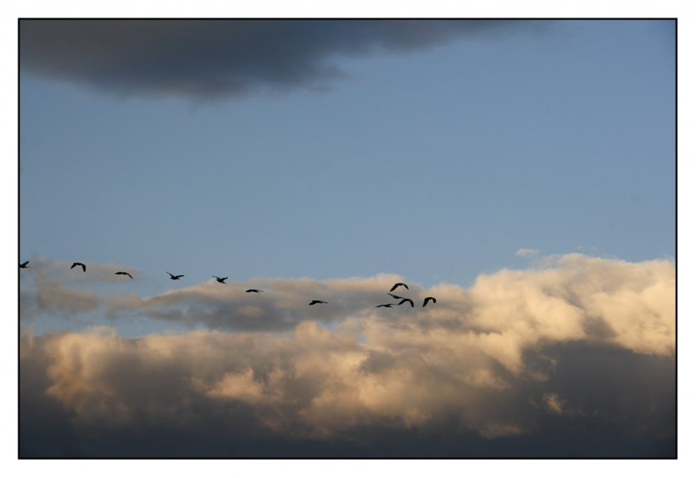 FotoRevista / Convocatoria / Volando entre nubes de Maria Cristina Silva