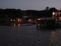 Nochecita del rio puerto Colonia (Ochoa Brunner)