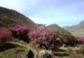 Colores de los Andes 3