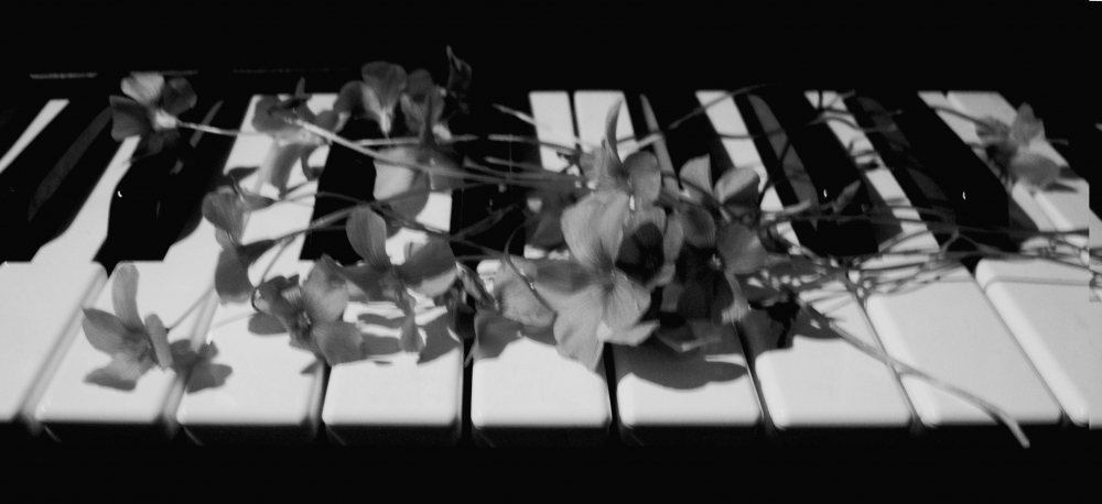 "sobre el piano tal vez olvidadas......." de Beatriz Di Marzio