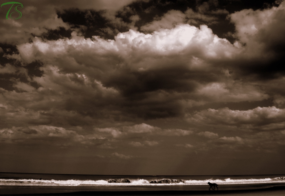 FotoRevista / Convocatoria / Entre nubes y olas de Guillermo Toso Stolbizer