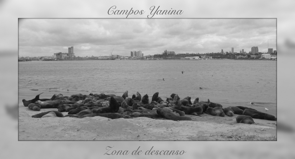 "Zona de descanso" de Yanina Campos