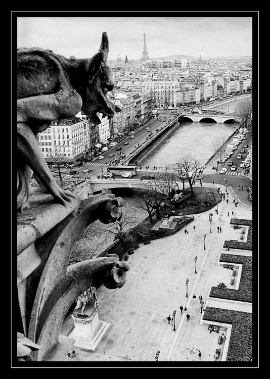 FotoRevista / Convocatoria / Paris... desde Notre Dame. de Mario Abad