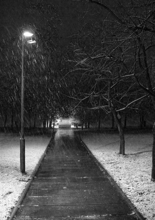 FotoRevista / Convocatoria / Lluvia, nieve y soledad de Mario Abad
