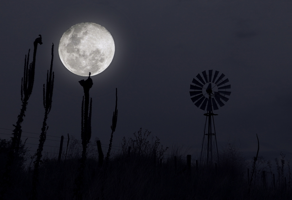 FotoRevista / Convocatoria / La luna en el campo de Fernando Valdez Vazquez