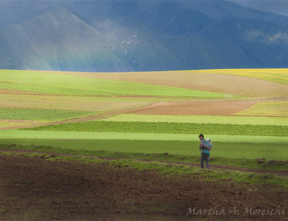 "Camino al arco iris" de Martha A. Moreschi