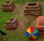Perro en cementerio antiguo orinar un paraguas
