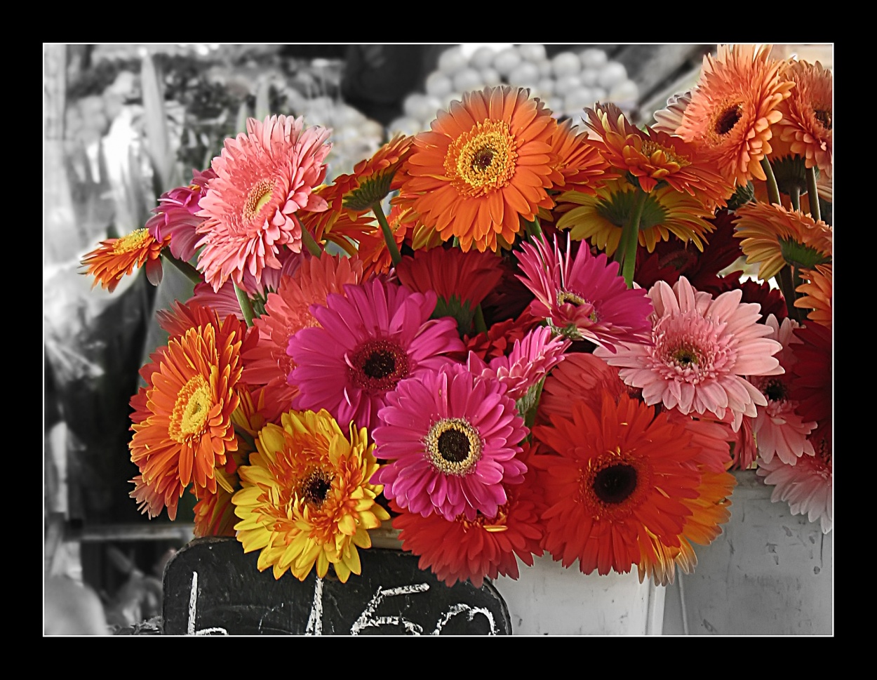 FotoRevista / Convocatoria Mensual / Plantas, flores y rboles