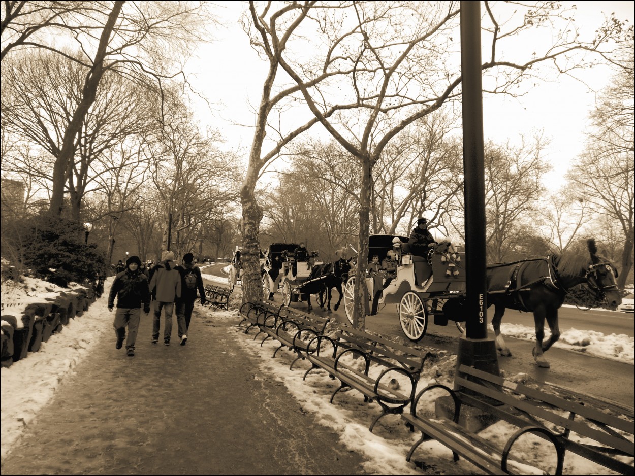 "Nieva en el Central Park..." de Mara Ins Hempe