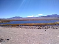 Laguna Antofagasta de la Sierra