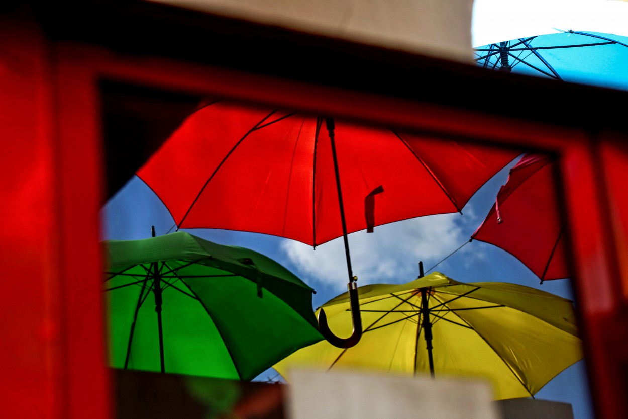 "paraguas" de Viviana Garca