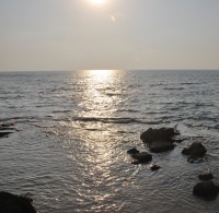 tel aviv coast