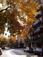 otoño en mi barrio
