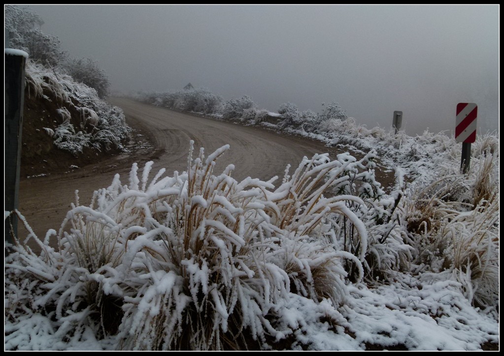 FotoRevista / Convocatoria / Invierno con nieve de Lidia Gonzalez