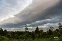 la tormenta de La Plata en Misiones