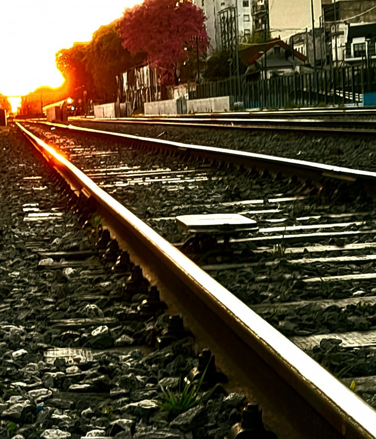 FotoRevista / Convocatoria Mensual / Mundo ferroviario